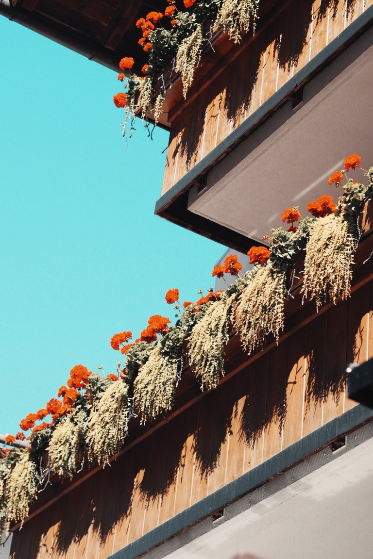 Blick auf die Balkone mit Blumen